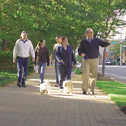 Photo: Group walking